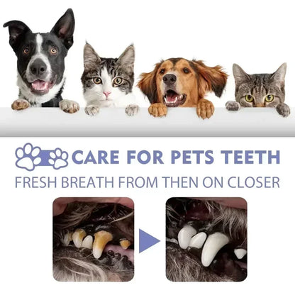 Pet Teeth Cleaning Spray