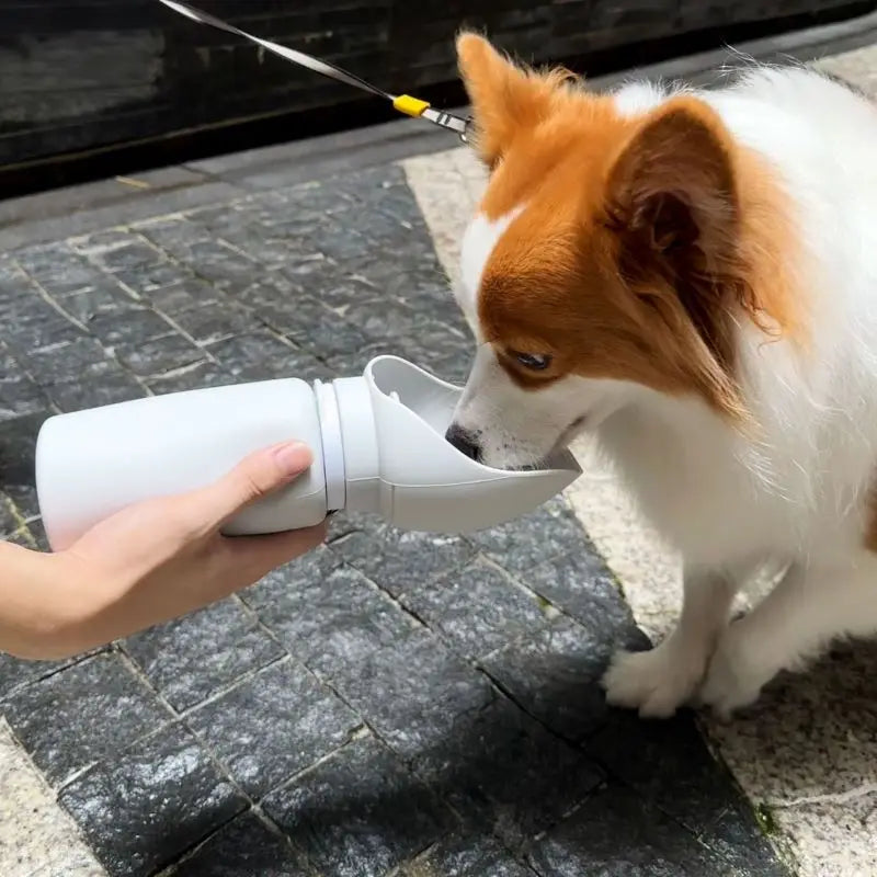 4-in-1 Dog Water Bottle