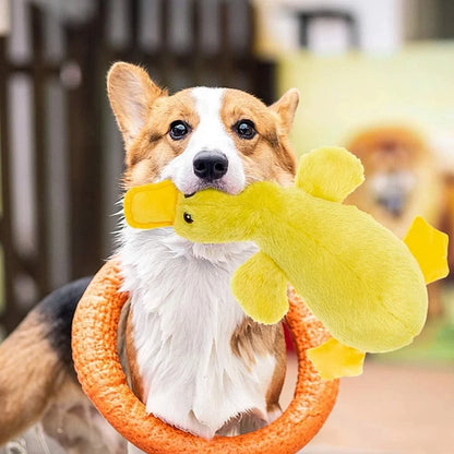 Vocal Duck Dog Toy