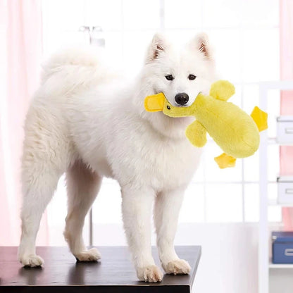 Vocal Duck Dog Toy