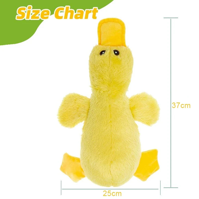 Vocal Duck Dog Toy